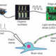Image for article titled We're One Step Closer To Creating Artificial Skin With a Sense of Touch